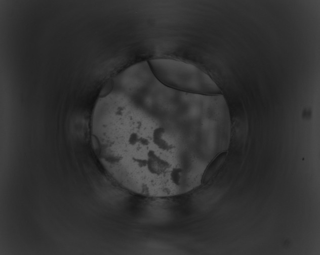 X0000091860527200710031043