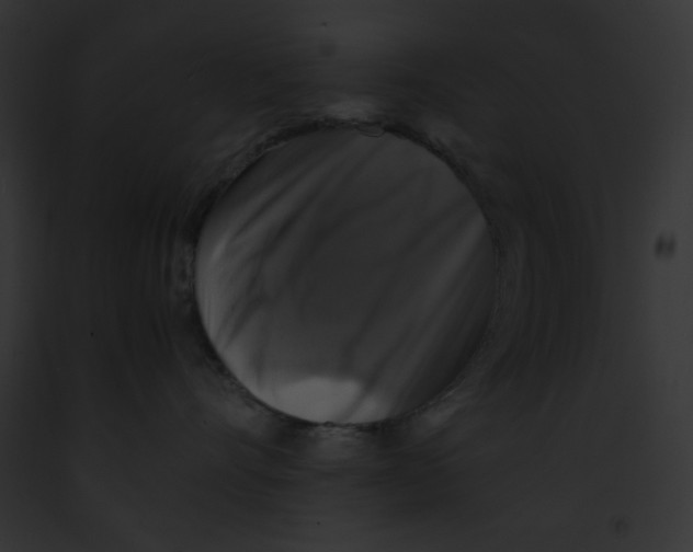 X0000091860528200710031043