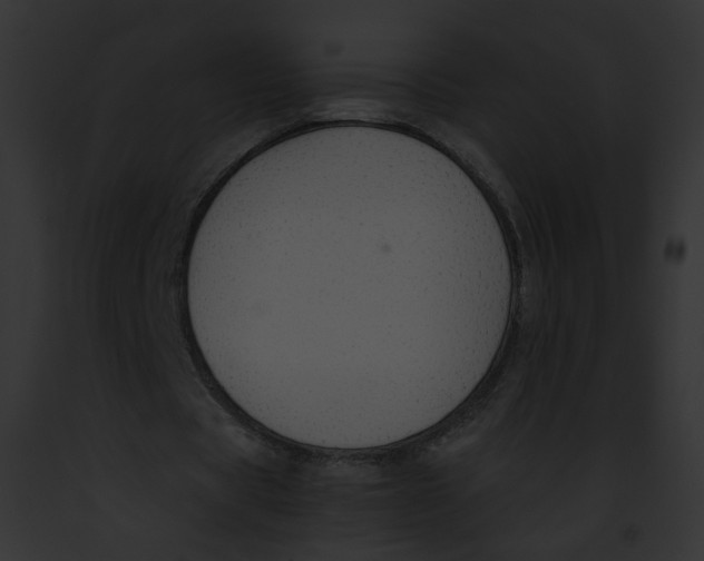 X0000091860529200710031042