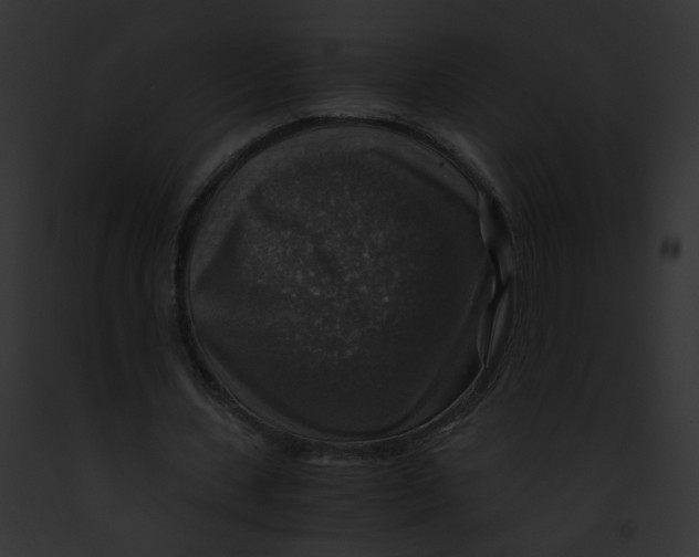 X0000091860531200710031042