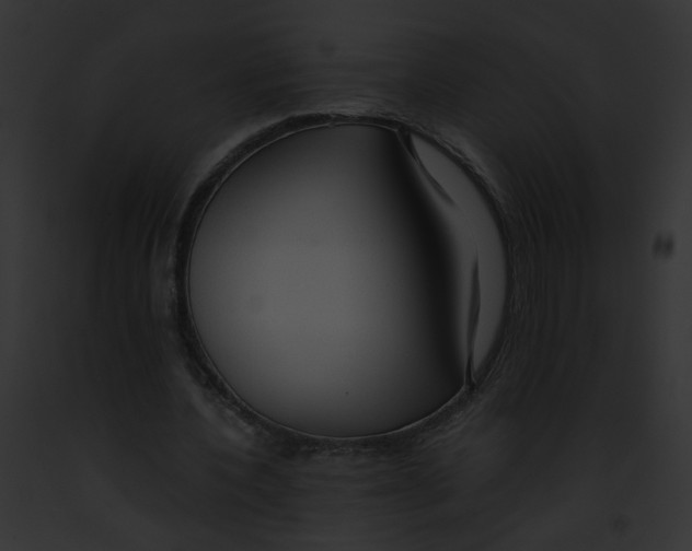 X0000091860532200710031042