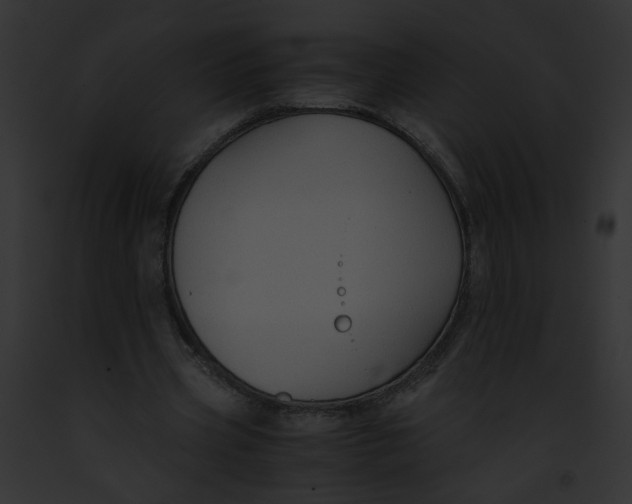 X0000091860533200710031042