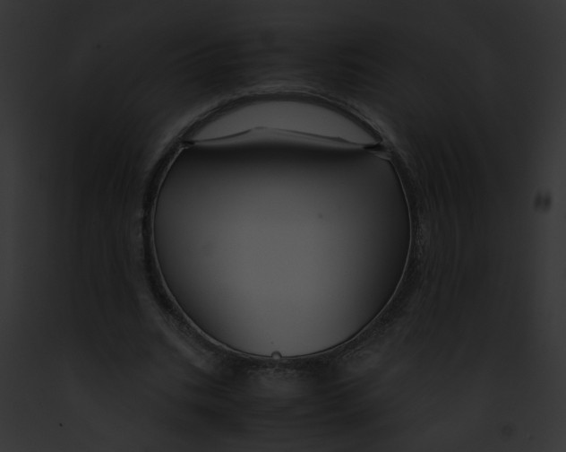 X0000091860535200710031042