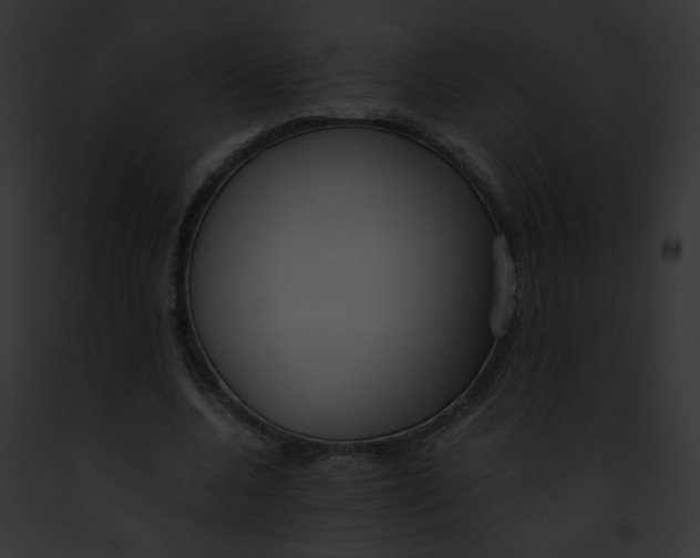 X0000091860536200710031042