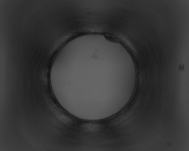 X0000091860537200710031042