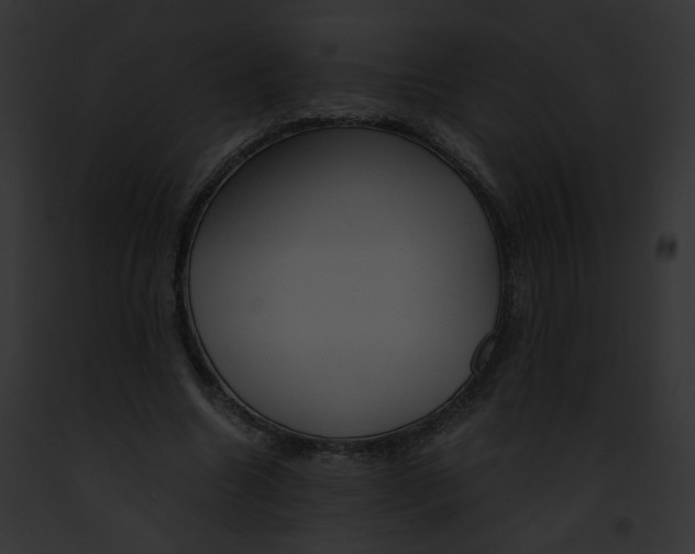 X0000091860538200710031042