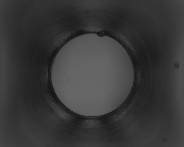 X0000091860541200710031042