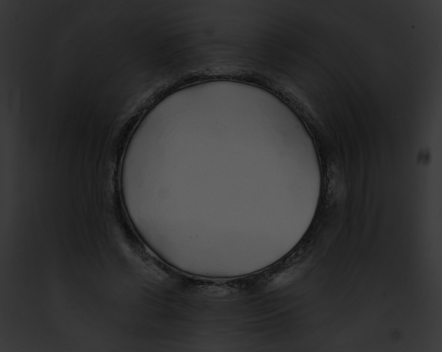 X0000091860542200710031042