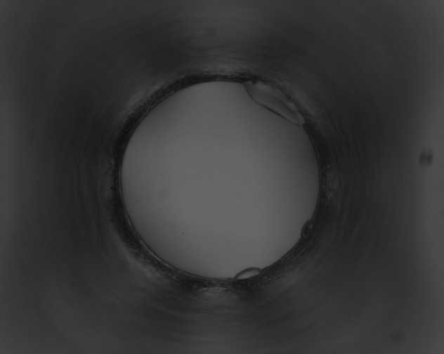 X0000091860544200710031042