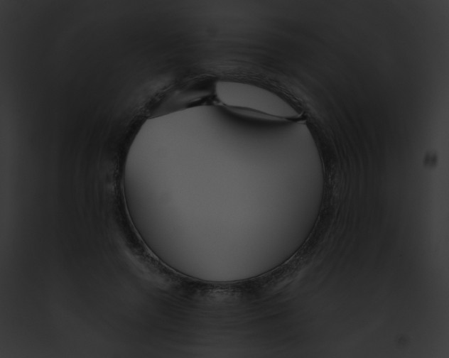 X0000091860546200710031042