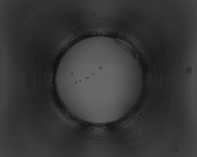 X0000091860548200710031042