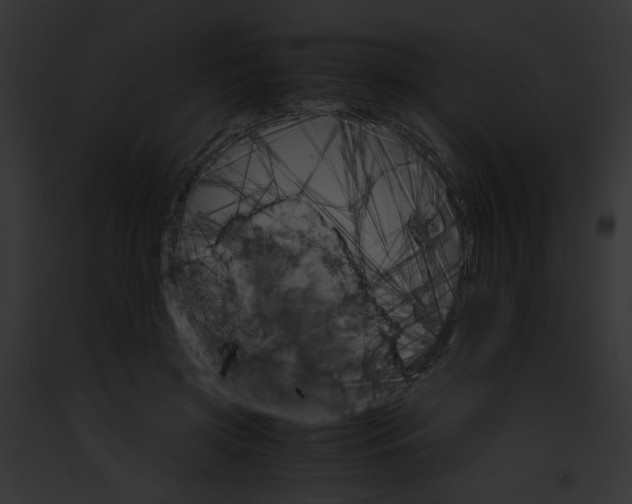 X0000091860549200710031042