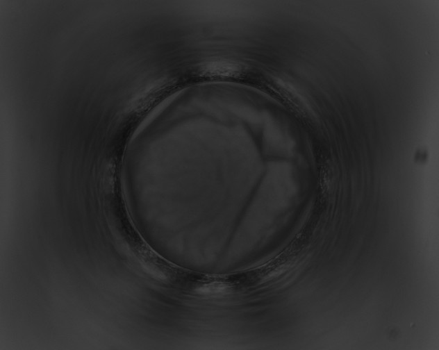 X0000091860551200710031042