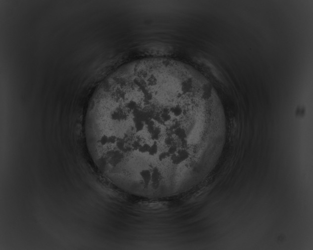 X0000091860553200710031042