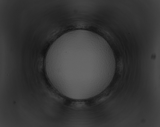 X0000091860554200710031042