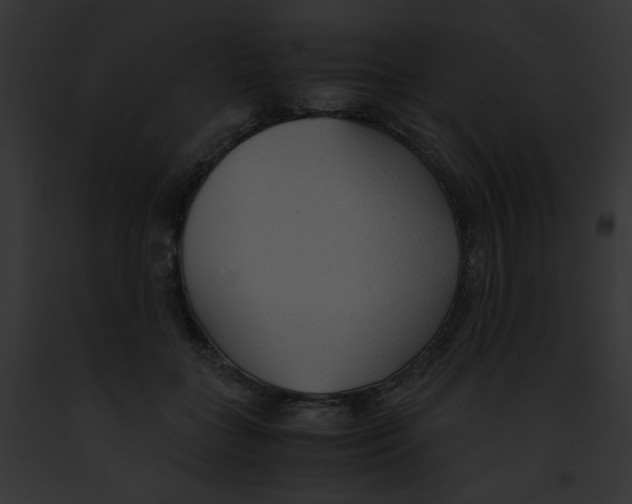 X0000091860555200710031042