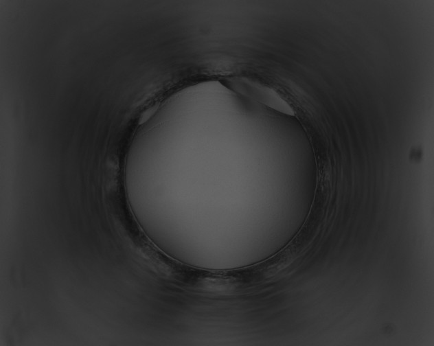 X0000091860556200710031042