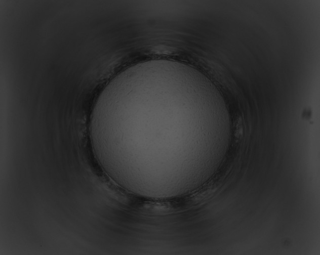 X0000091860559200710031042