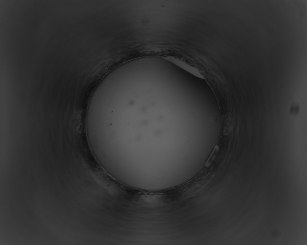 X0000091860560200710031042