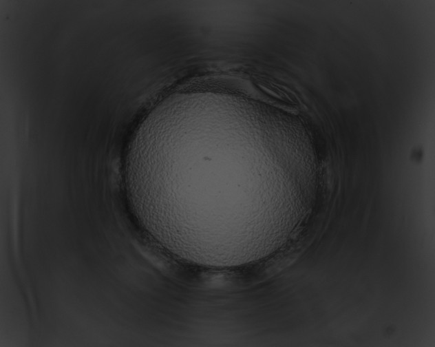 X0000091860564200710031042