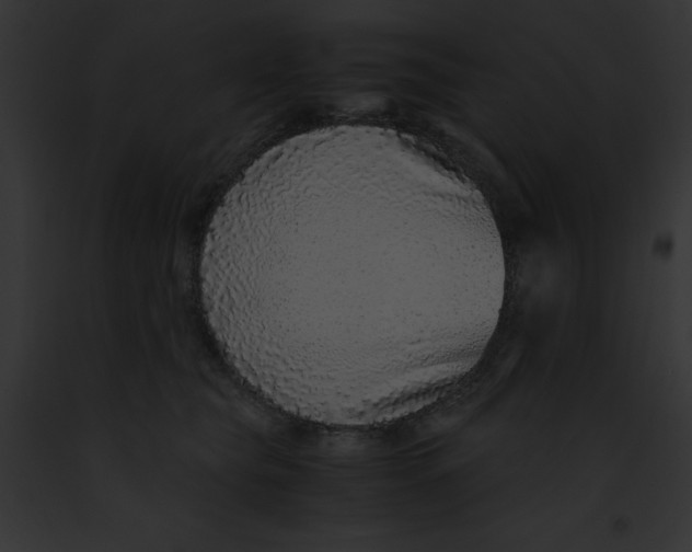 X0000091860565200710031042