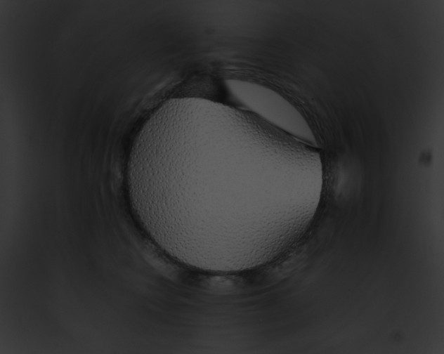 X0000091860566200710031042