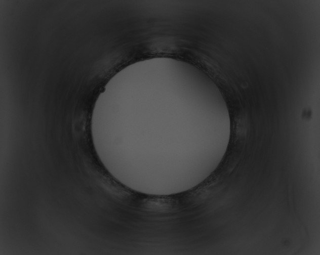 X0000091860567200710031043