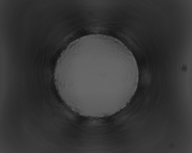 X0000091860569200710031043