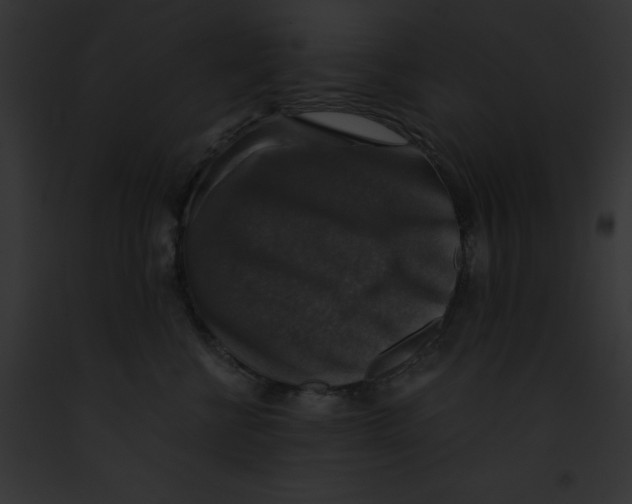 X0000091860570200710031043