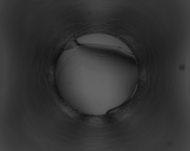 X0000091860572200710031043