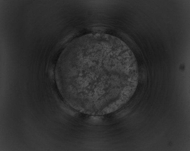 X0000091860573200710031043