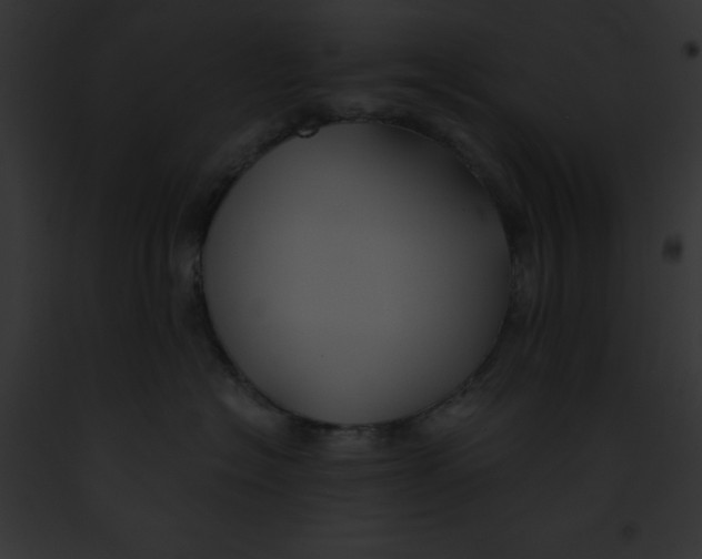 X0000091860574200710031043