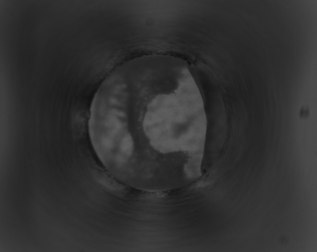 X0000091860576200710031043