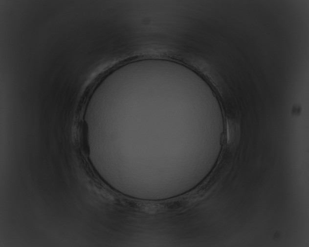 X0000091860579200710031042