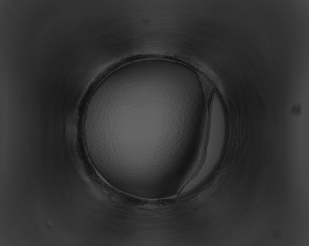 X0000091860580200710031042