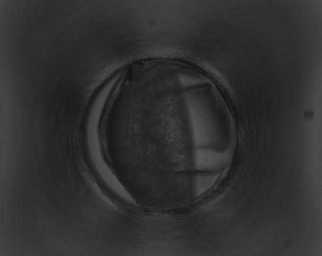 X0000091860581200710031042