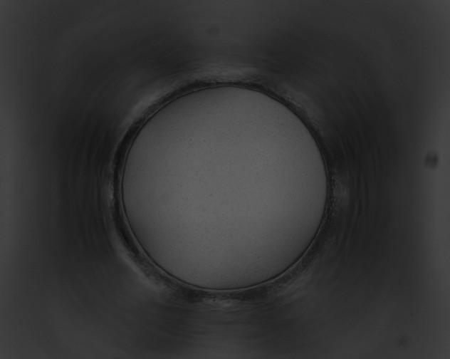 X0000091860582200710031042