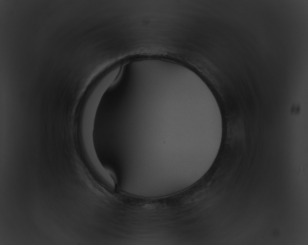 X0000091860584200710031042