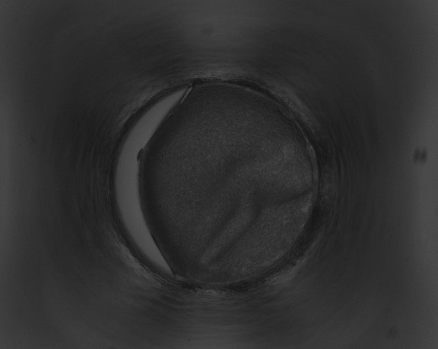 X0000091860585200710031042