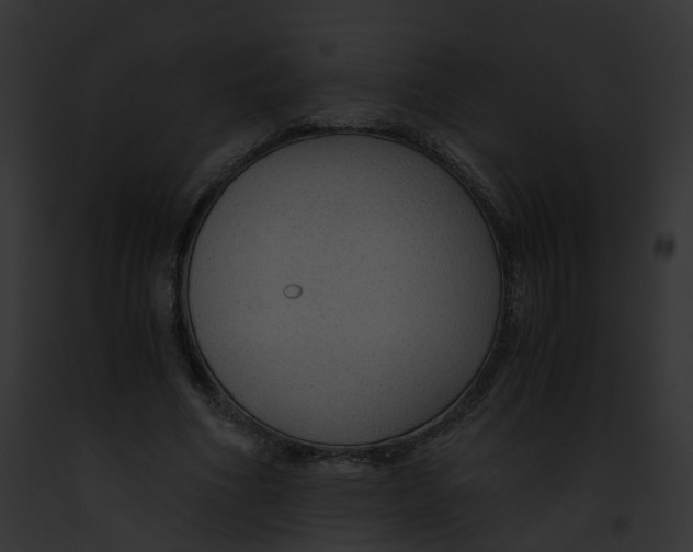 X0000091860586200710031042