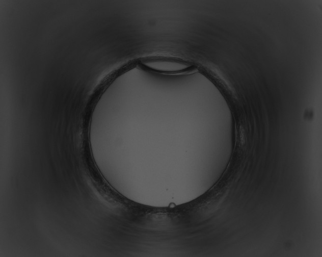 X0000091860588200710031042