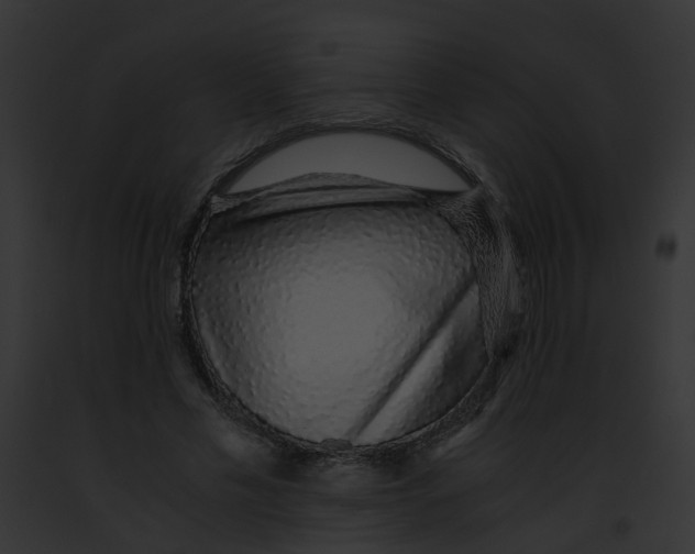 X0000091860589200710031042