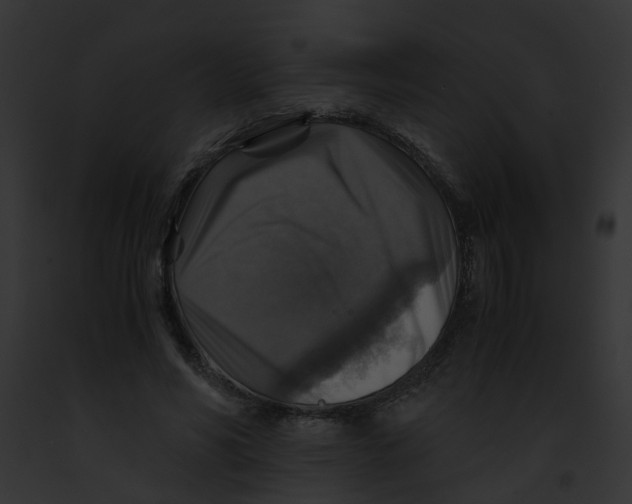 X0000091860590200710031042