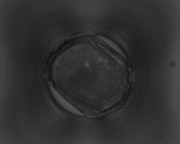 X0000091860593200710031042