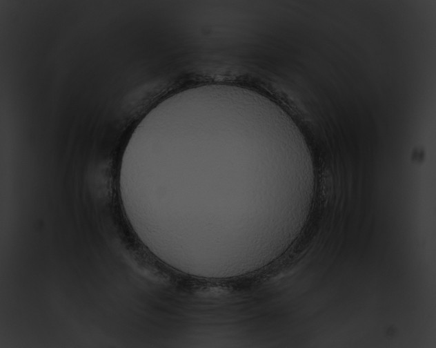 X0000091860594200710031042