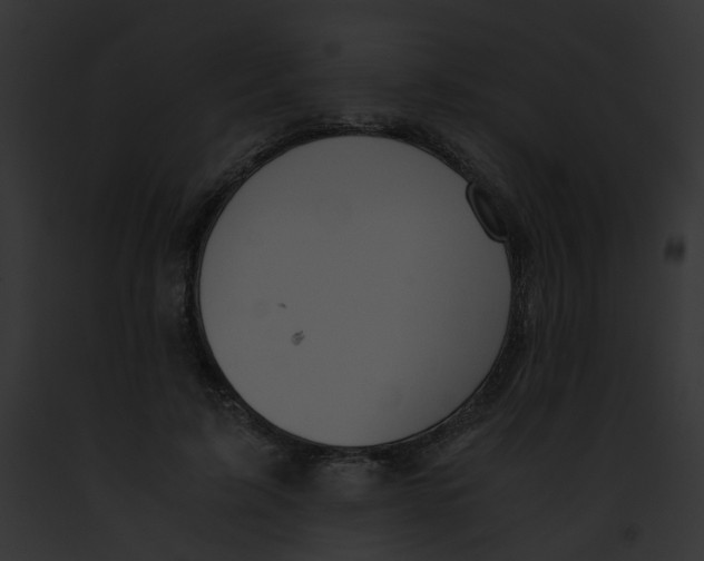 X0000091860595200710031042