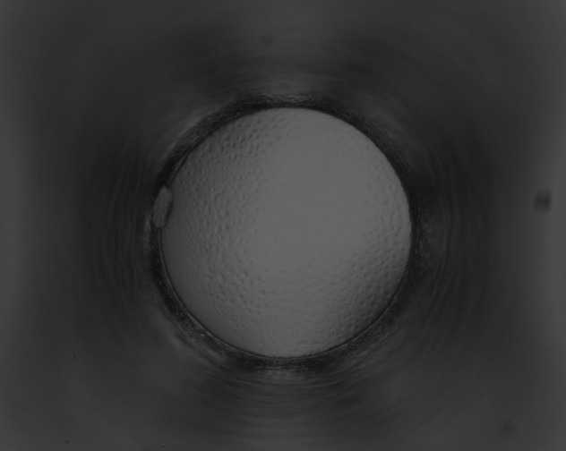 X0000091860596200710031042