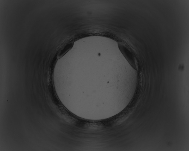 X0000091860597200710031042