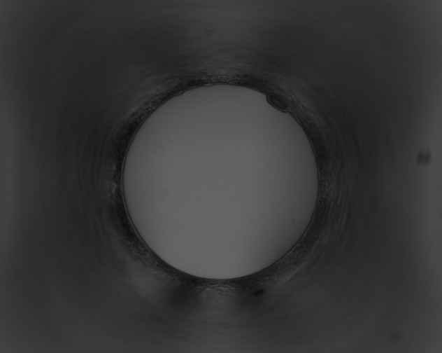 X0000091860599200710031042