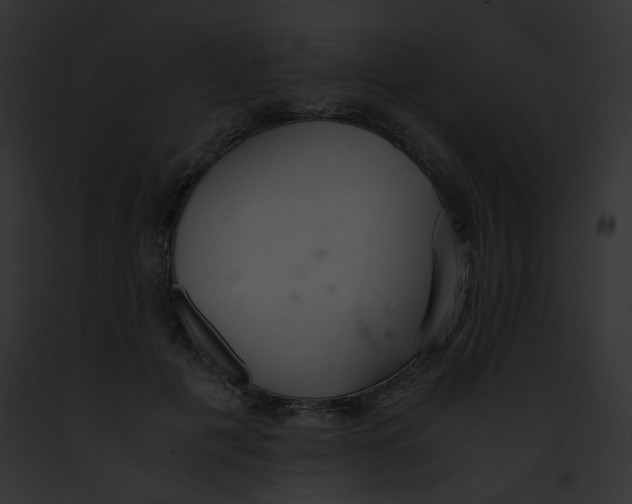 X0000091860601200710031042